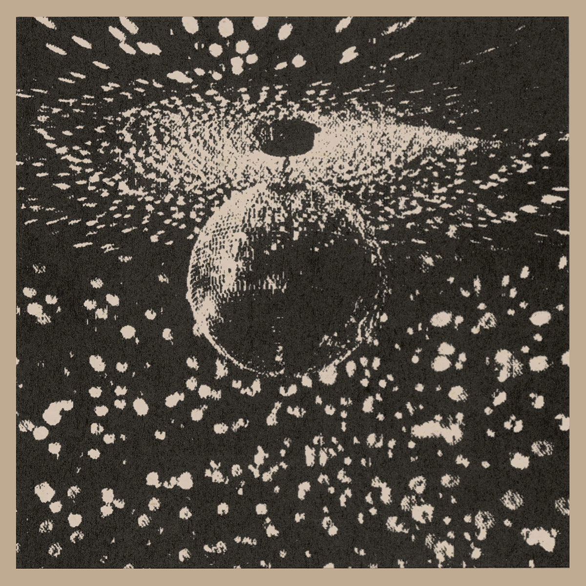 Neil Young – Mirror Ball (New Vinyl) – Resolute Records