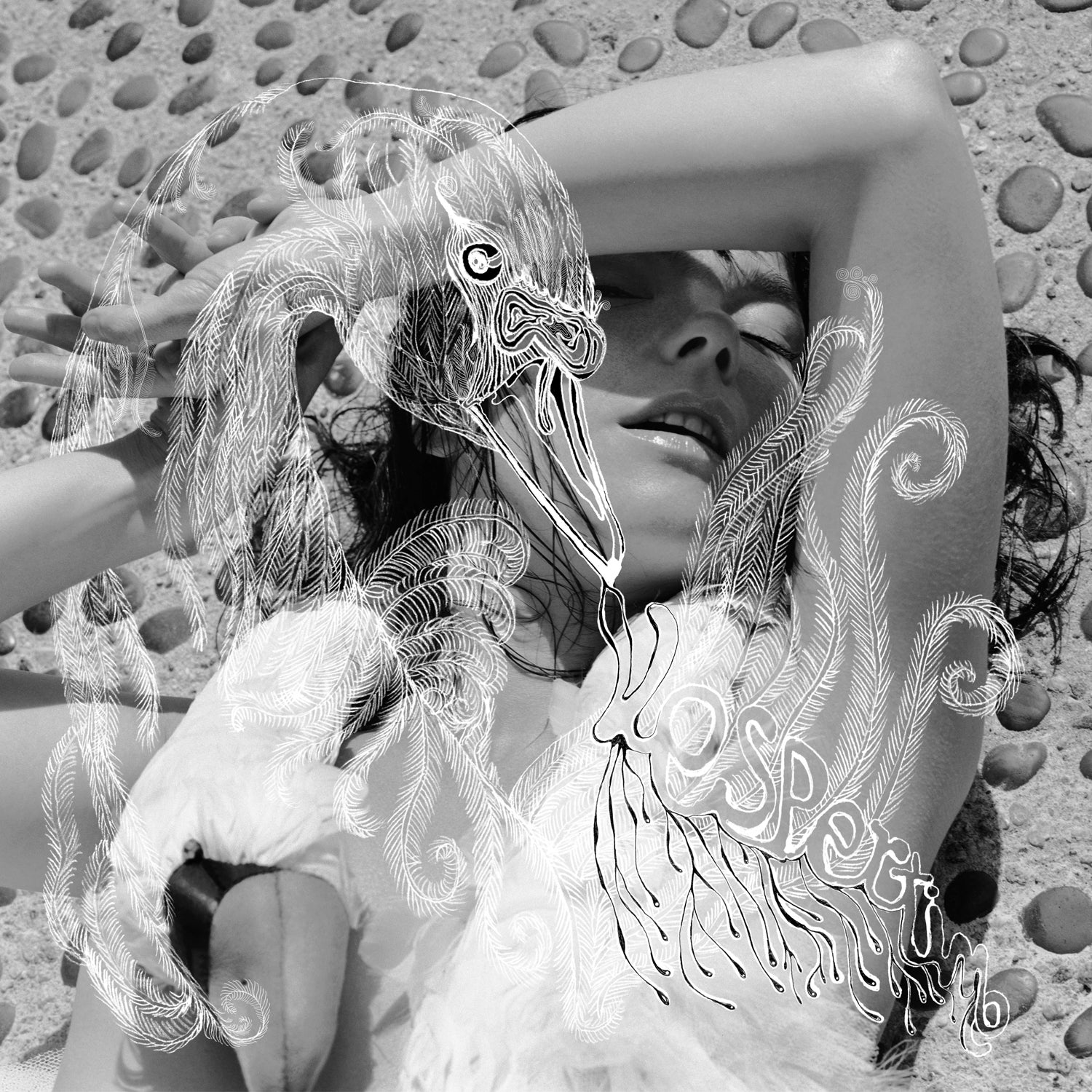 洋楽 Bjork - Vespertine [2LP] Bjork_Vespertine_LP_ba6792a7-