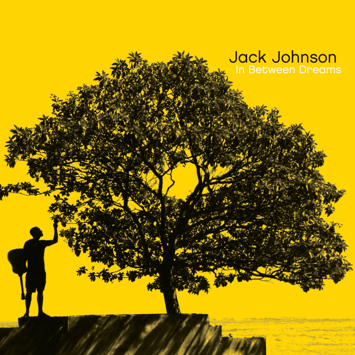 Jack Johnson – In Between Dreams (New Vinyl)