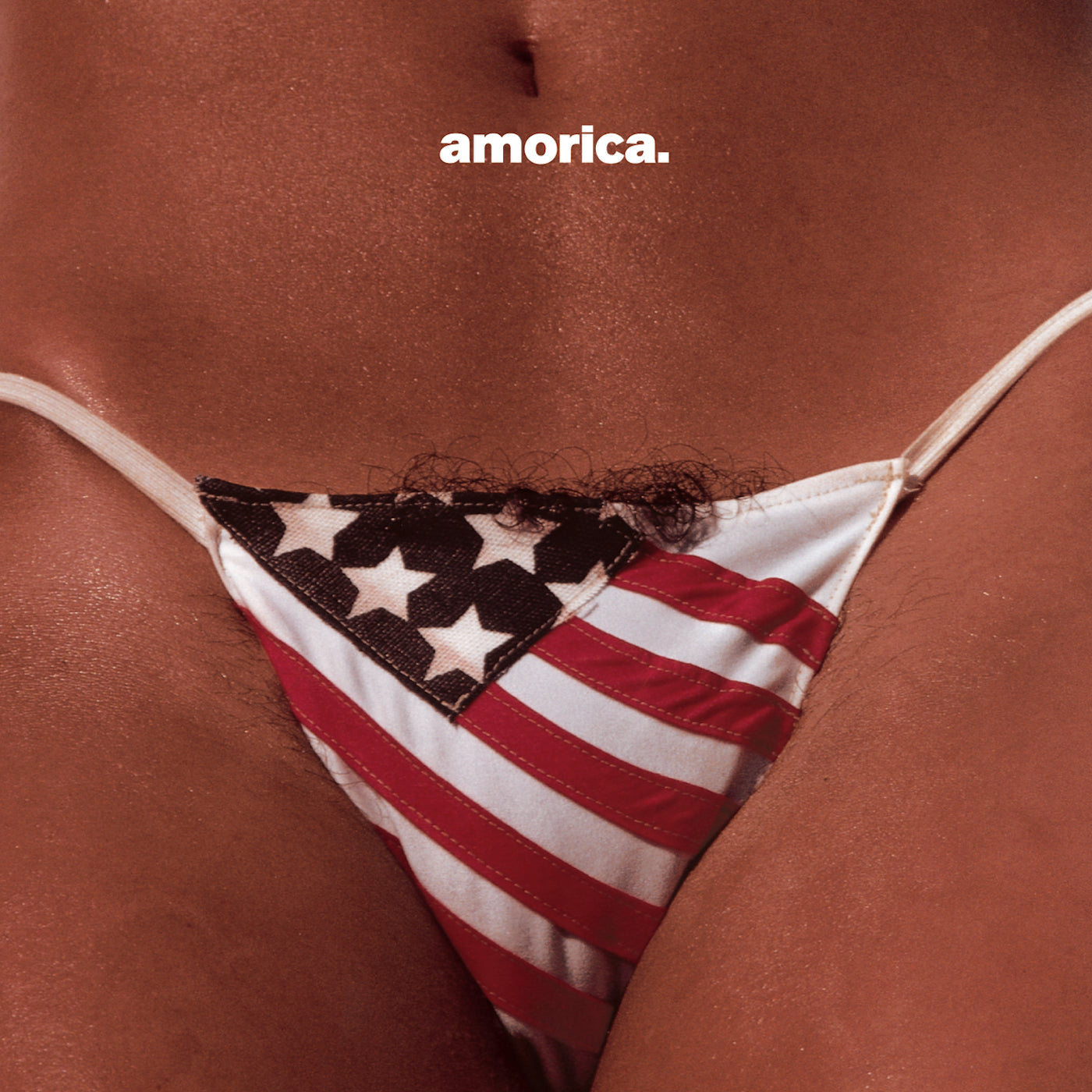 The Black Crowes ‎– Amorica (New Vinyl)